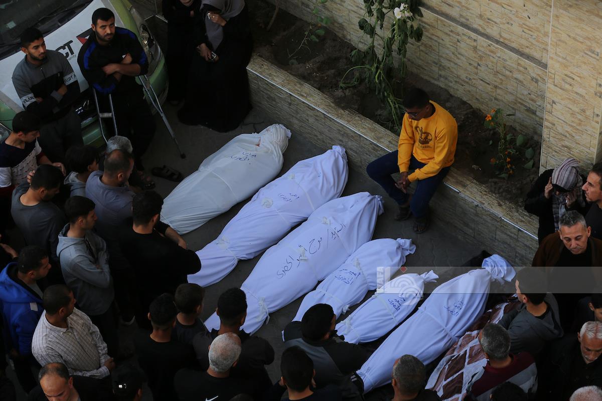 صورة ارشيفية صورة ارشيفية