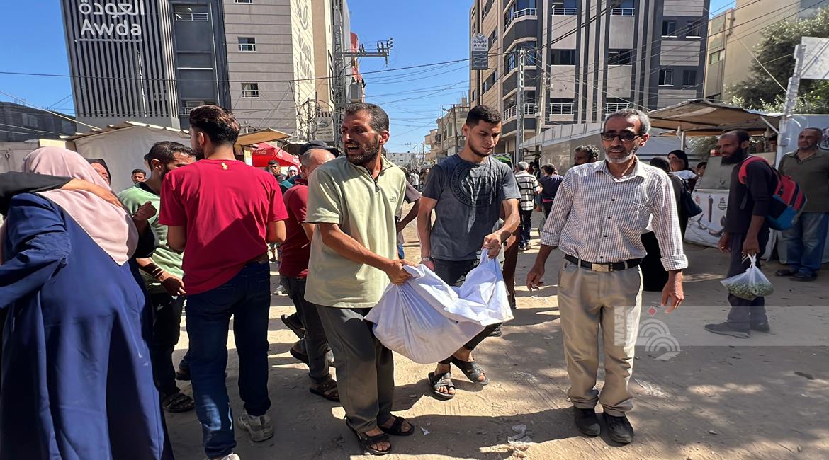 صورة ارشيفية