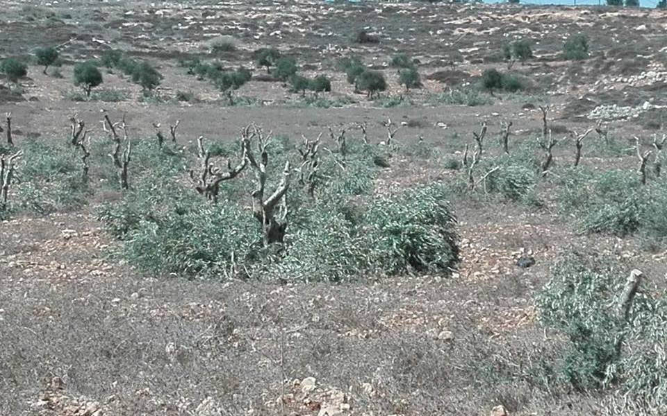 صورة أرشيفية