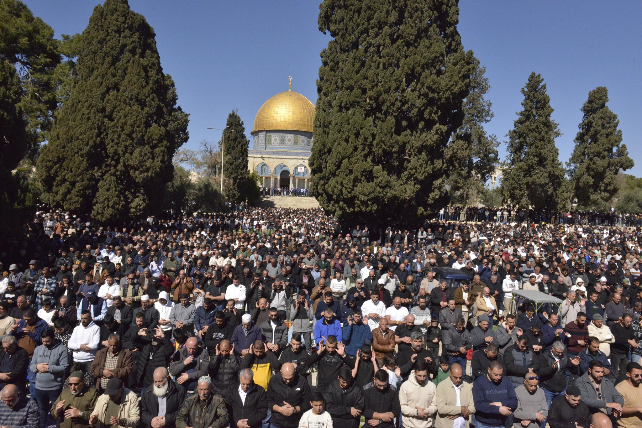 صورة ارشيفية