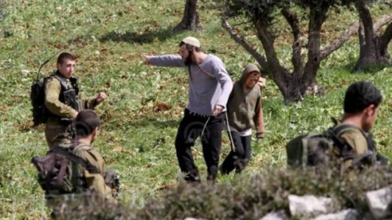 صورة أرشيفية صورة أرشيفية