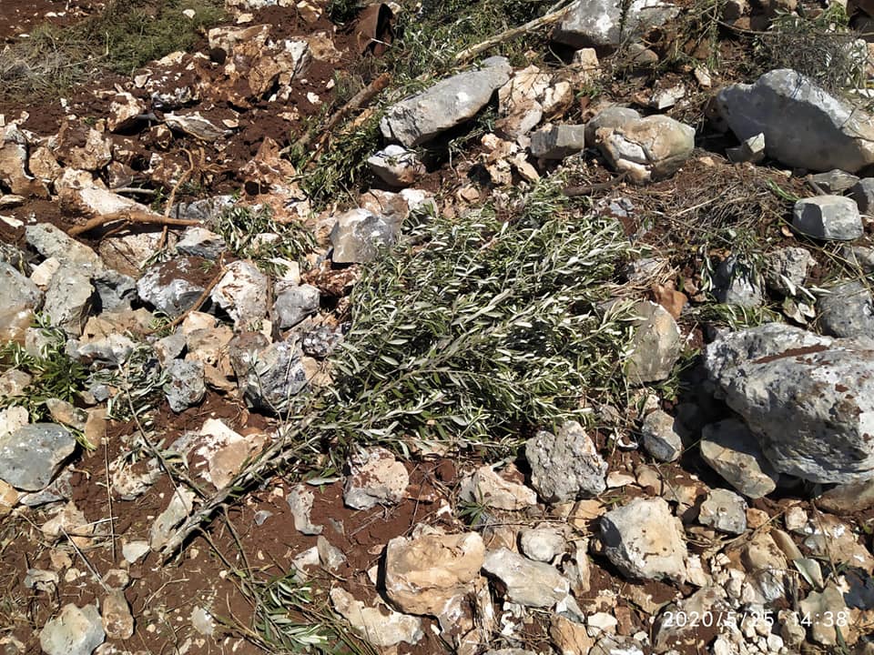 صورة أرشيفية (وفا)