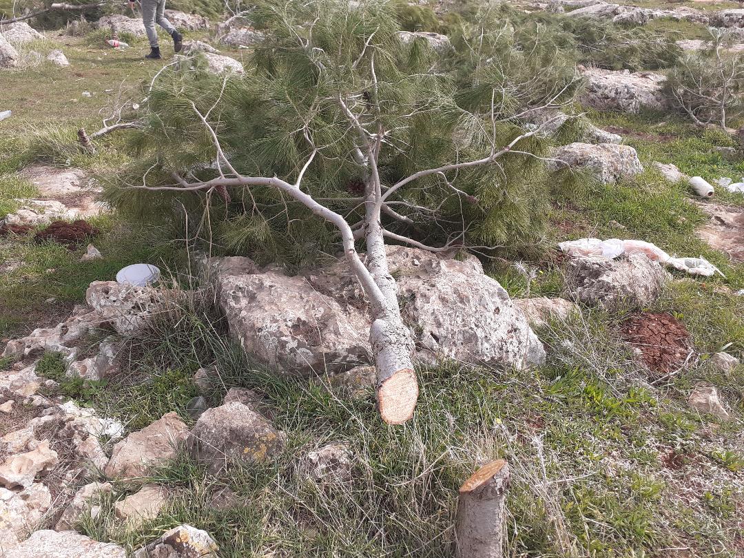صورة أرشيفية