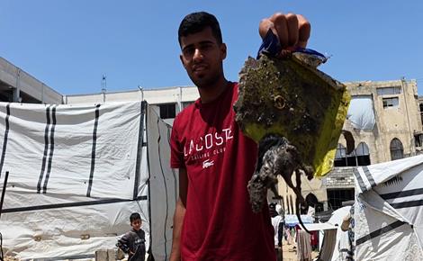 القوارض والحشرات تضاغف معاناة النازحين القوارض والحشرات تضاغف معاناة النازحين